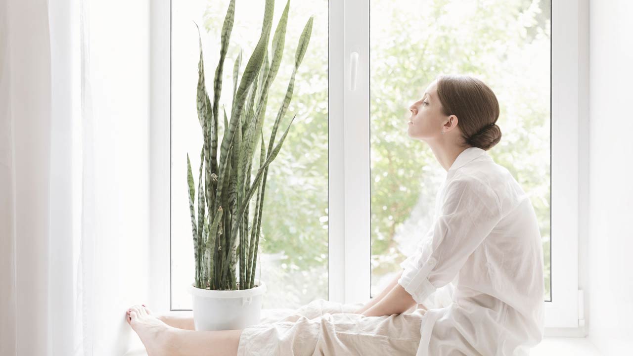 Snake Plant Spiritual Meaning: More than Just a Houseplant