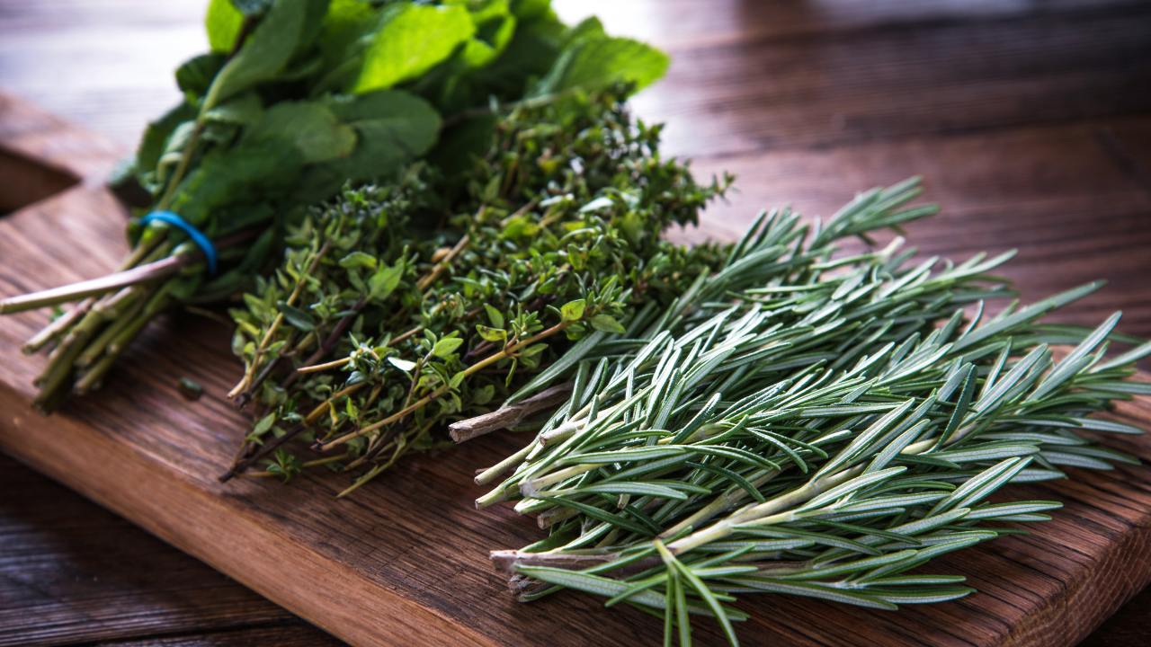 bunches of green herbs