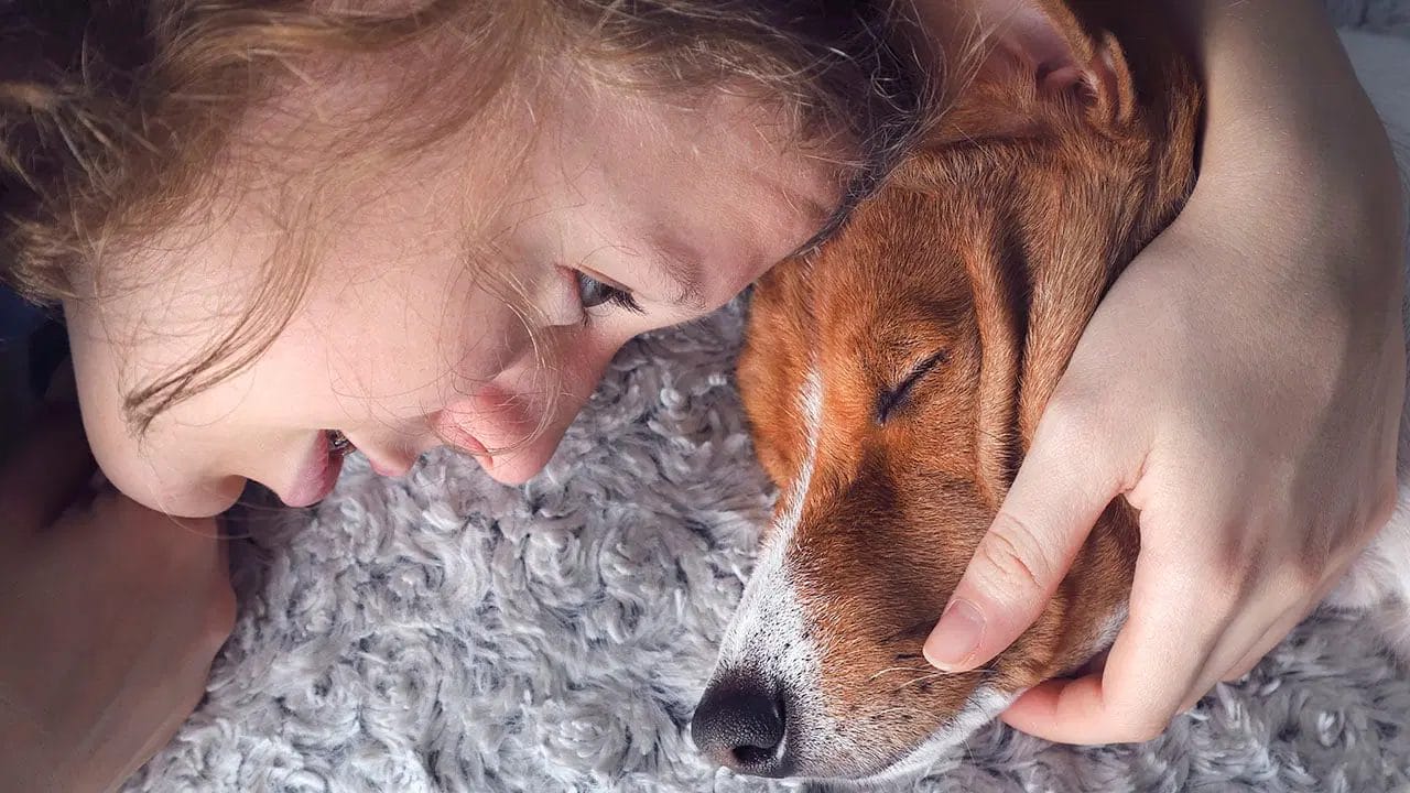 what-to-do-when-your-dog-passes-away-at-home-10-important-steps