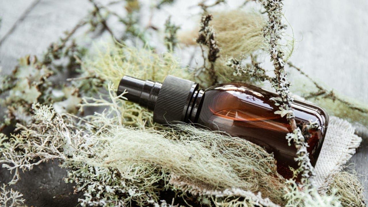 9 Reasons Why the Usnea Lichen Is Nature's Best-Kept Secret - Usnea lichen herbal medicine ss2165161597